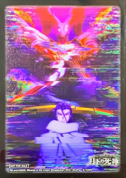 画像1: [SPカードスリーブ]黒城&バロム 64枚入り (1)