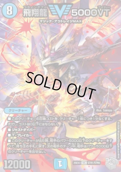 画像1: 【邪神爆発『王道W』】飛翔龍5000VT 25EX3_STR1/STR5 (1)