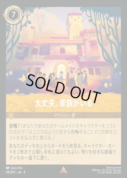 画像1: 大丈夫、家族がいる/アンバー【アクション】《28/204》 (1)