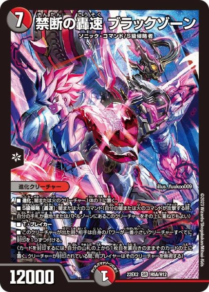 画像1: 【闇のキリフダたち】禁断の轟速ブラックゾーン 22EX2_H5A/H12 (1)