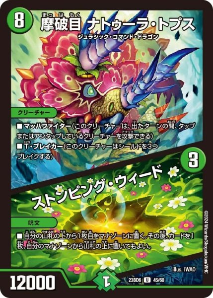 画像1: 【双極のアカシックZ計画】摩破目 ナトゥーラ・トプス / ストンピング・ウィード 23BD6_45/60 (1)