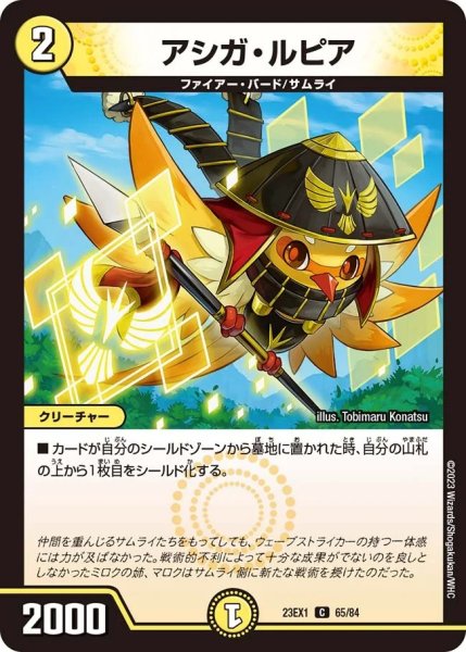 画像1: 【ビクトリーBEST】アシガ・ルピア 23EX1_65/84 (1)