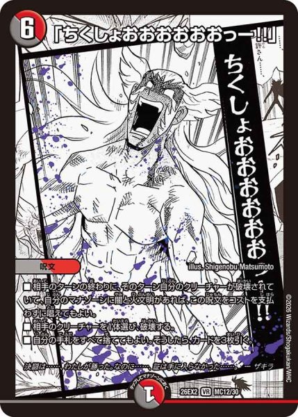 画像1: 【カリスマBEST】「ちくしょおおおおおおっー!!」 26EX2_MC12/MC30 (1)