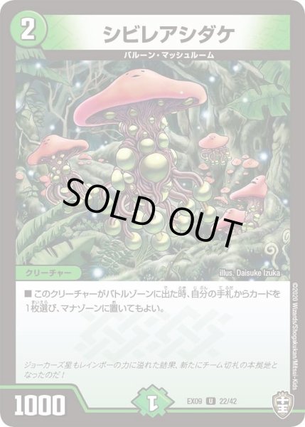 画像1: 【~EX09~Wチームドッキングパック チーム切札&チームウェイブ】シビレアシダケ DMEX09_22/42 (1)