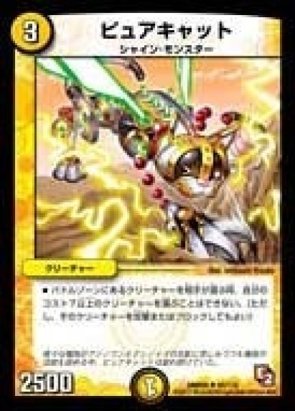 画像1: 【ゴールデン・エイジ】ピュアキャット DMR05_45/110 (1)