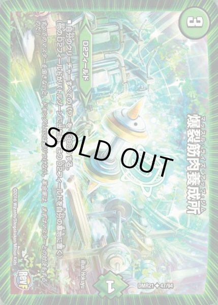 画像1: 【ハムカツ団とドギラゴン剣】爆裂筋肉養成所 DMR21_47/94 (1)