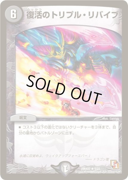 画像1: 【ヒーローズ・ビクトリー・パック 咆えろ野生の大作戦】復活のトリプル・リバイブ DMX07_5/21 (1)