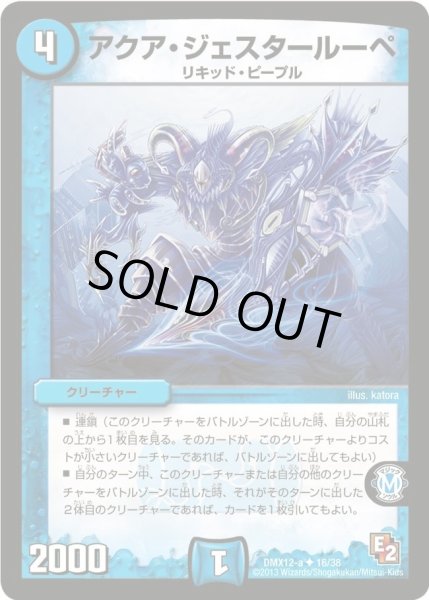 画像1: 【ブラック・ボックス・パック】アクア・ジェスタールーペ DMX12-a_16/38 (1)