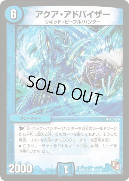 画像1: 【ブラック・ボックス・パック】アクア・アドバイザー DMX12-a_27/38 (1)