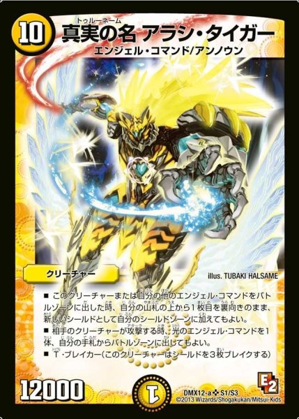 画像1: 【ブラック・ボックス・パック】真実の名アラシ・タイガー DMX12-a_S1/S3 (1)