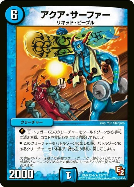画像1: 【ブラック・ボックス・パック】アクア・サーファー DMX12-b_72/？？？ (1)
