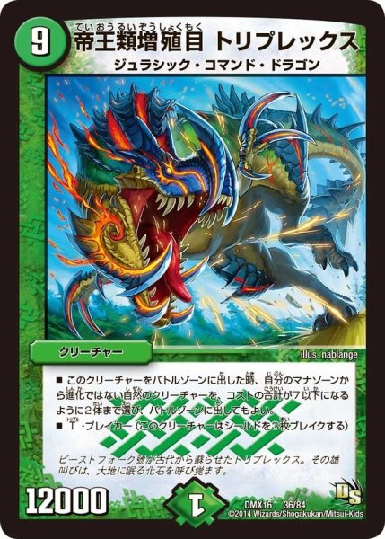 画像1: 【王道戦略ファンタジスタ12】帝王類増殖目トリプレックス DMX16_36/84 (1)