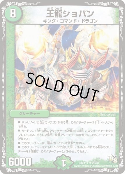 画像1: 【龍の祭典！ドラゴン魂フェス!!】王龍ショパン DMX17_25/37 (1)