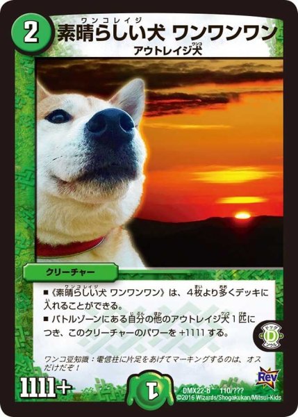 画像1: 【革命 超ブラック・ボックス・パック】素晴らしい犬ワンワンワン DMX22-b_110/??? (1)