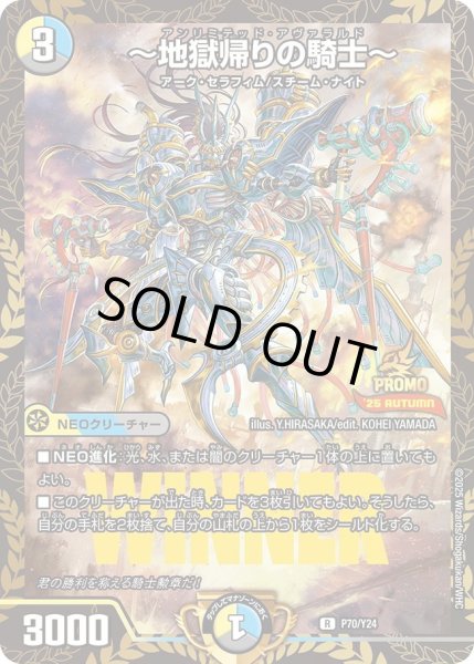 画像1: 【プロモ】〜地獄帰りの騎士〜 _P70/Y24 (1)