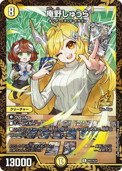 画像1: 【プロモ】庵野しゅうら_P87/Y24 (1)