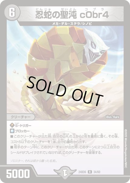 画像1: 【 ツラトゥストラは水晶と語らう】忍蛇の聖沌 c0br4 24BD6_34/60 (1)