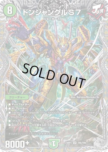 画像1: 【ゴールド・オブ・ハイパーエンジェル】ドンジャングルS7 24RP3_TR5/TR9 (1)