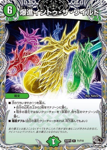 画像1: 【邪神vs邪神II ジャシン・イン・ザ・シェル】《爆進イントゥ・ザ・ワイルド》（T1/T10） 25rp2_T1/T10 (1)